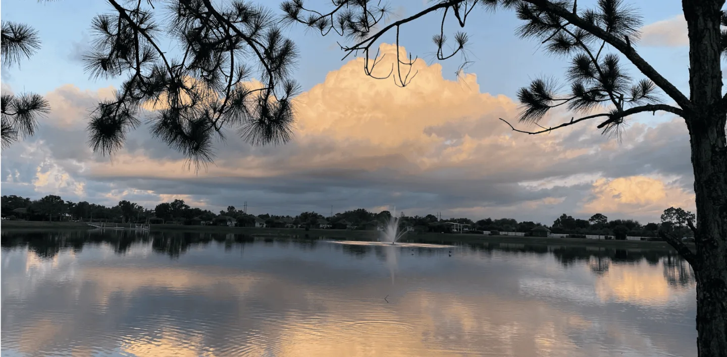 Golden Palms Luxury Motorcoach Resort - photo 6 of 7