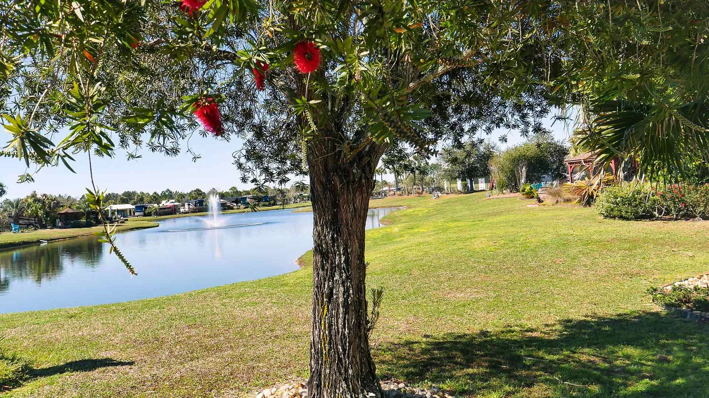 Bella Terra - photo 7 of 20