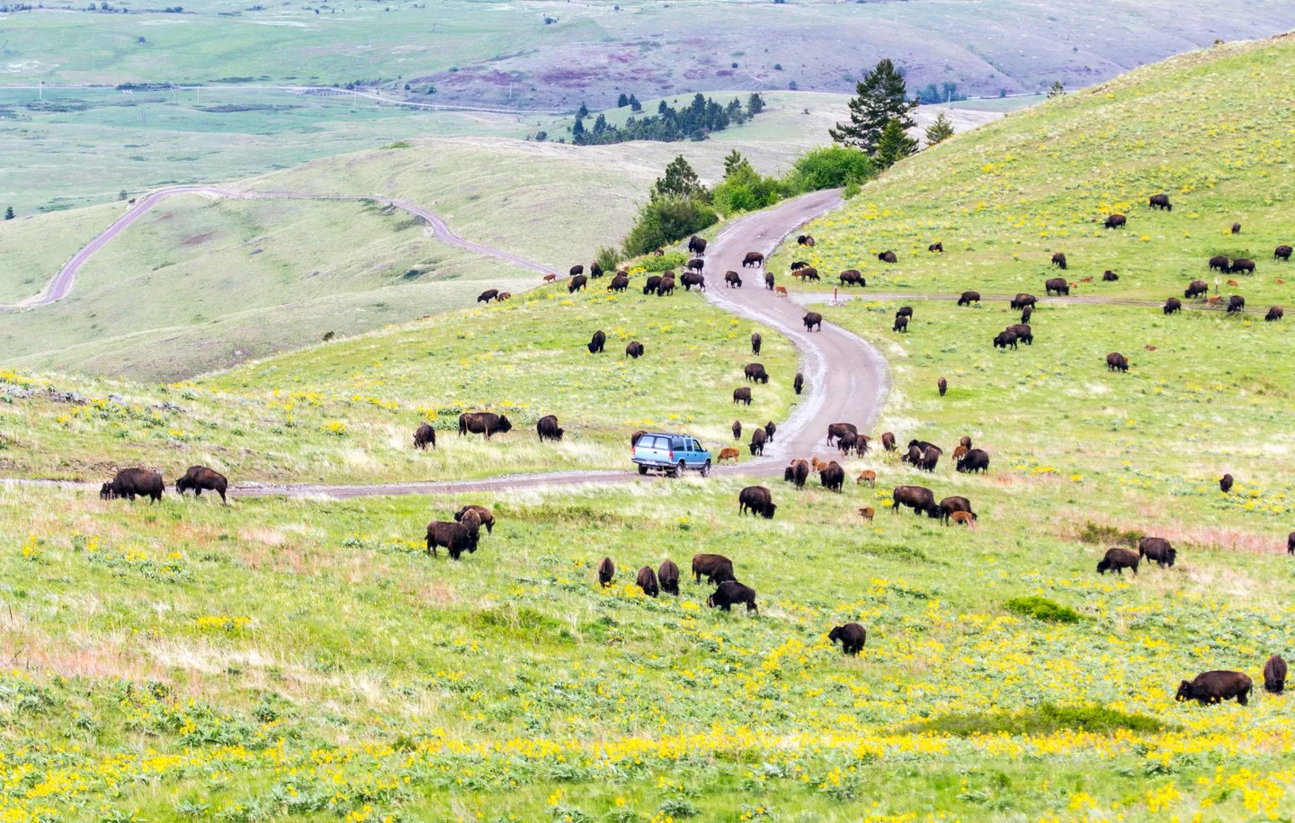 Polson Motorcoach Resort - photo 3 of 18