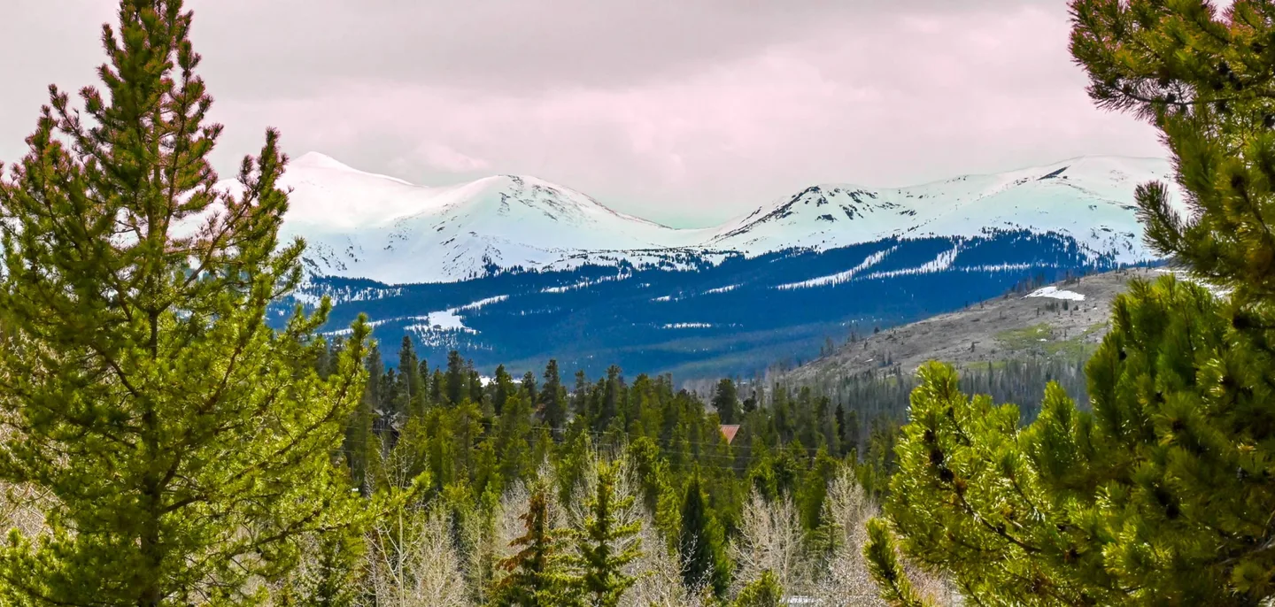 Tiger Run Resort - photo 4 of 11