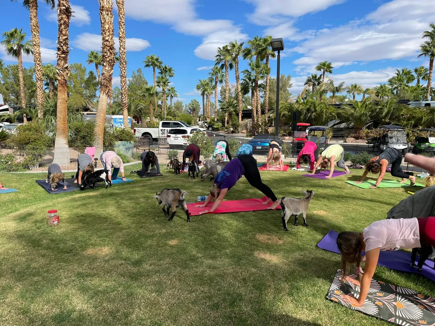 Las Vegas Motorcoach Resort - photo 2 of 5