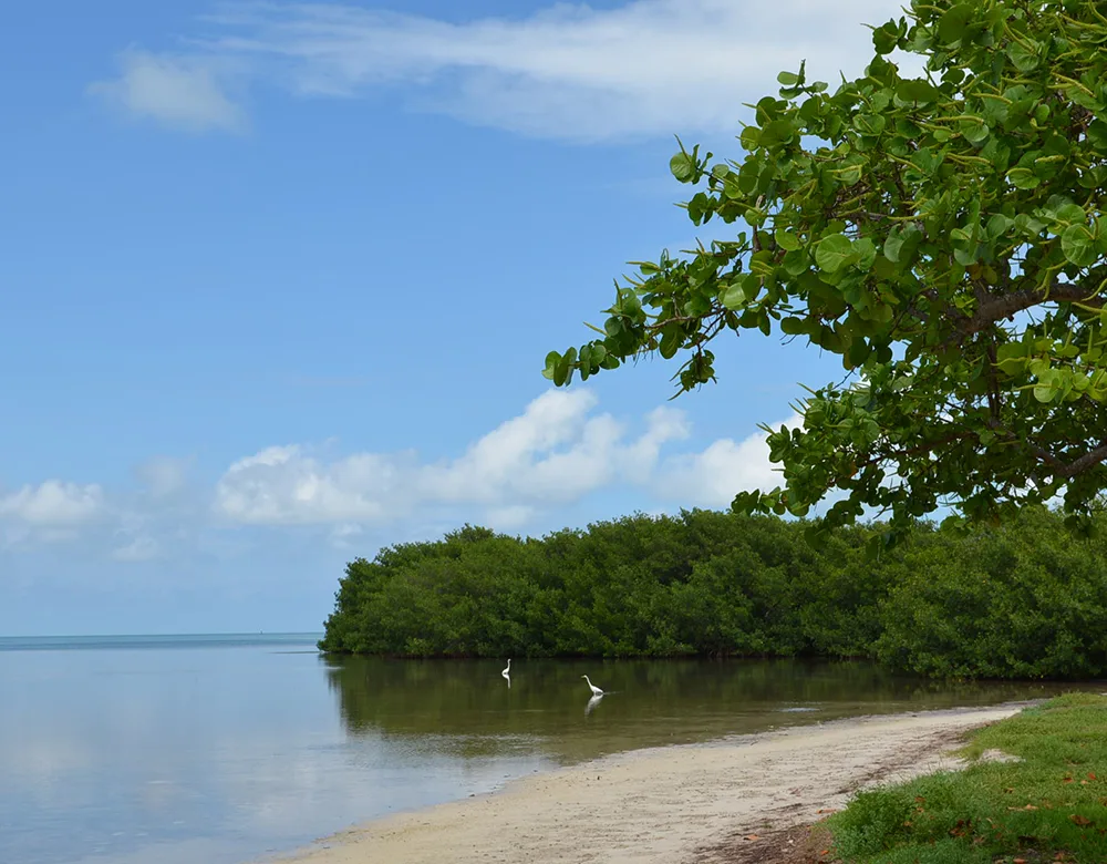 Sunshine Key RV Resort - photo 6 of 12