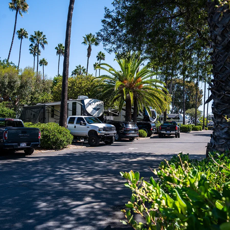 San Diego RV Resort - photo 6 of 16