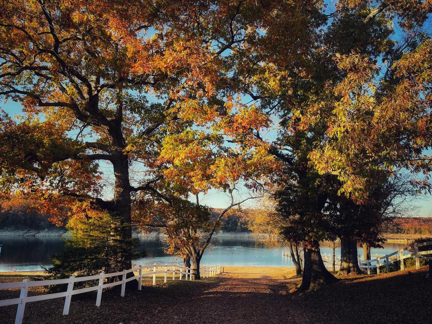 Ozarks RV Resort on Table Rock Lake - photo 7 of 18