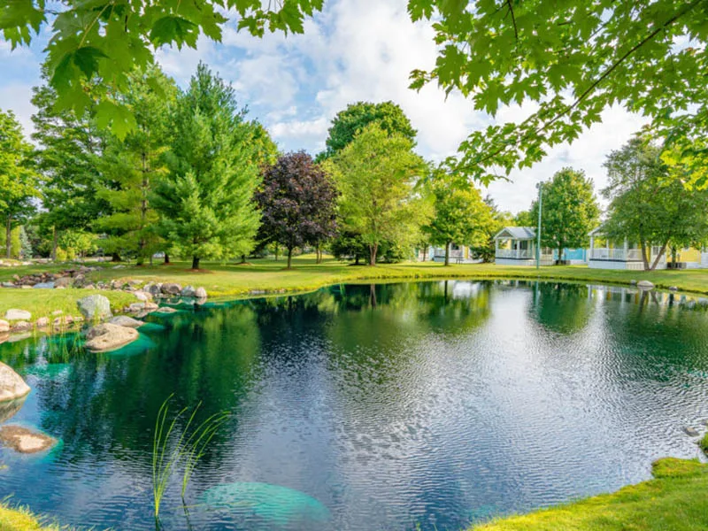 Sun Outdoors RV Resort - Petoskey - photo 6 of 9