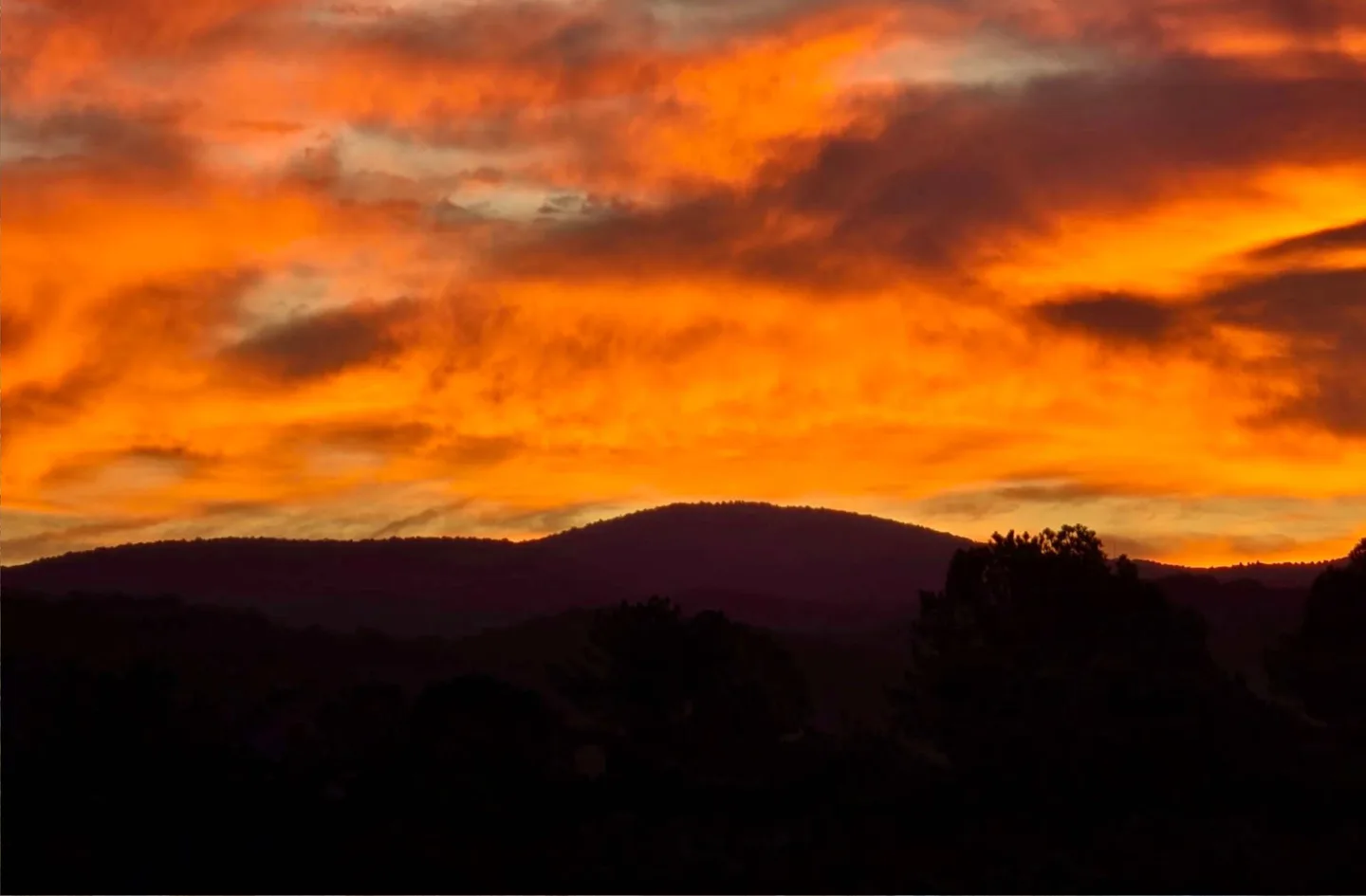 Talking Rock Motorcoach Resort - photo 6 of 9