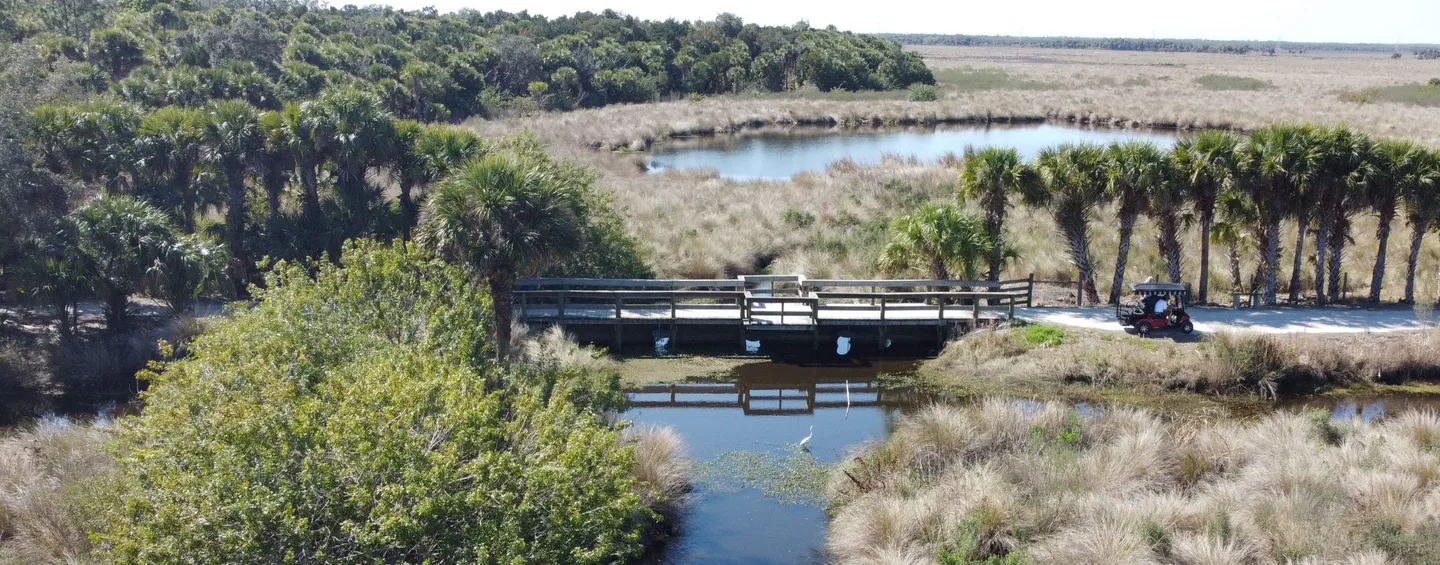 The Great Outdoors - photo 6 of 6